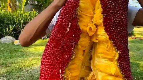 菠萝蜜视频成人版在线