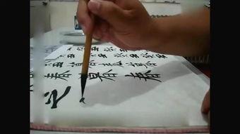 成人书法行书视频欣赏教程,成人书法行书视频教程赏析