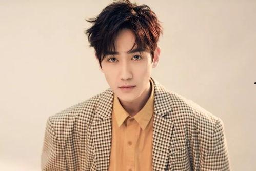 藏族男生成人发型视频,传统与现代的完美融合