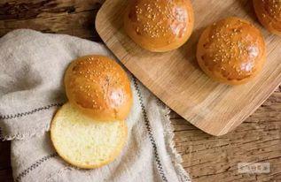 成人糕点制作视频教程下载,轻松掌握成人糕点制作技巧