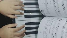 成人休闲钢琴教程图解视频,图解视频精华概述