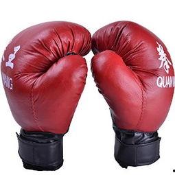 拳套成人全套教学视频大全,从入门到精通的实战指南