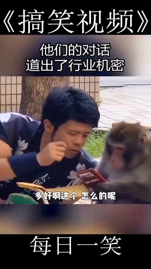 成人爱情搞笑对话大全视频,笑翻你的恋爱日常