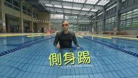 成人游泳自学自由泳视频,跟随视频轻松掌握游泳技巧