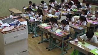 成人讲课现场视频,深度解析成人课堂互动与教学策略