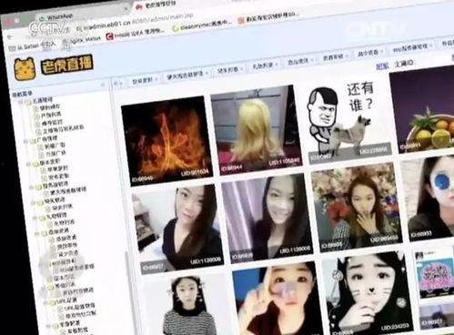 最新成人在线免费视频,揭秘最新成人在线免费视频的精彩世界