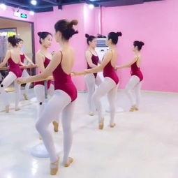 成套舞蹈成人舞蹈视频