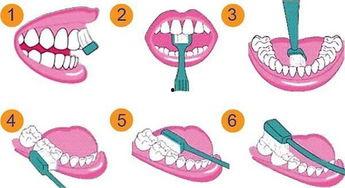 刷牙成人教程视频大全图片,成人刷牙教程视频大全精华汇总