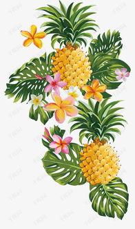 菠萝成人绘画视频,探索色彩与创意的无限可能