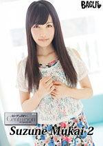 成人玩具视频教程,专业视频教程深度解析