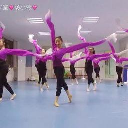 舞蹈视频节目成人  第3张