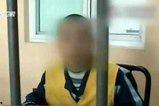 下载成人性视频合集,一场视觉与心理的双重探索之旅  第3张