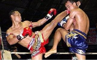 高平女孩成人搏击视频,展现青春力量与勇气  第2张