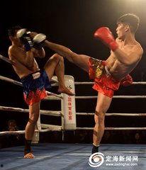 高平女孩成人搏击视频,展现青春力量与勇气  第3张