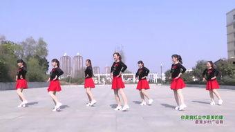 金凤区成人舞蹈视频,成人舞蹈视频魅力展现  第3张