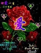 孤妖成人礼视频  第3张