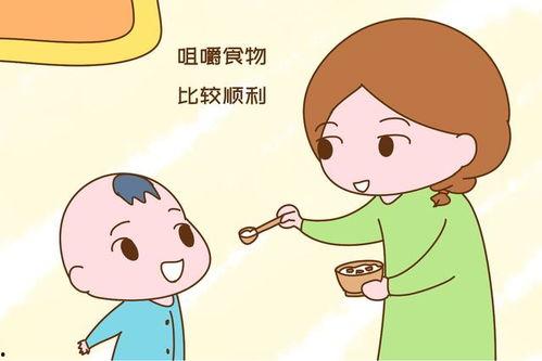 成人父母喂饭视频