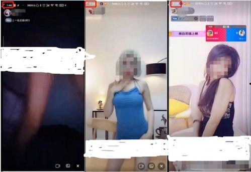国产熟女视频成人网,揭秘成人网背后的真实世界